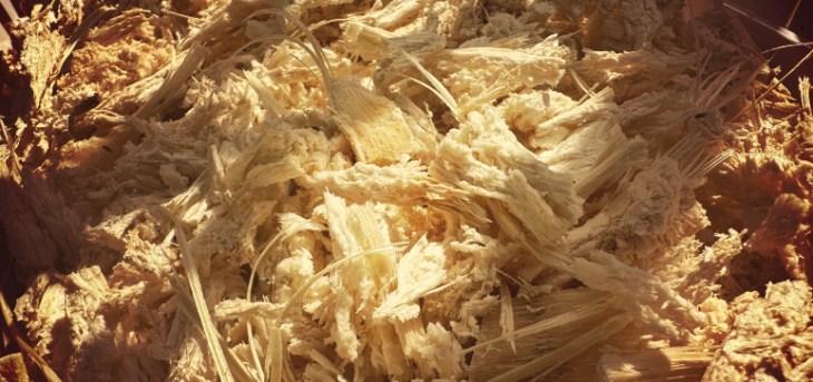 俄罗斯专享会·(中国区)官网