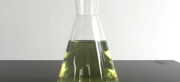 俄罗斯专享会·(中国区)官网