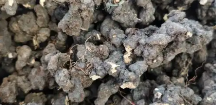 俄罗斯专享会·(中国区)官网