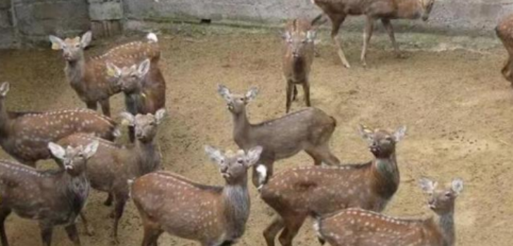 俄罗斯专享会·(中国区)官网