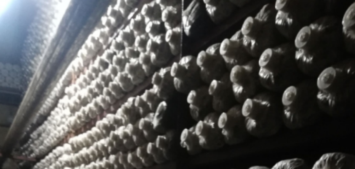 俄罗斯专享会·(中国区)官网