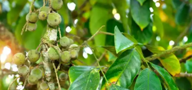 俄罗斯专享会·(中国区)官网