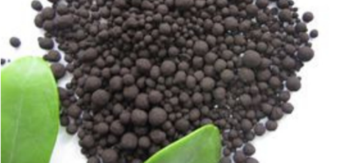 俄罗斯专享会·(中国区)官网