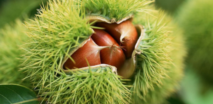 俄罗斯专享会·(中国区)官网