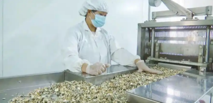 俄罗斯专享会·(中国区)官网