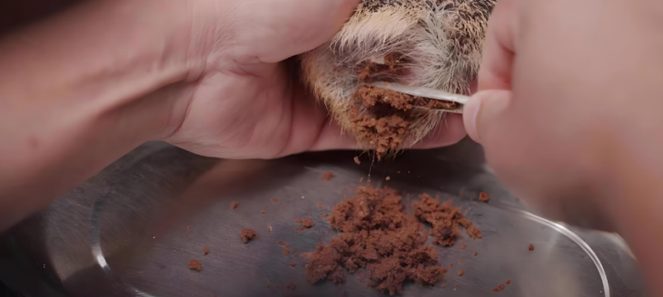 俄罗斯专享会·(中国区)官网