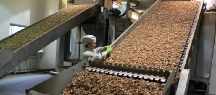 俄罗斯专享会·(中国区)官网