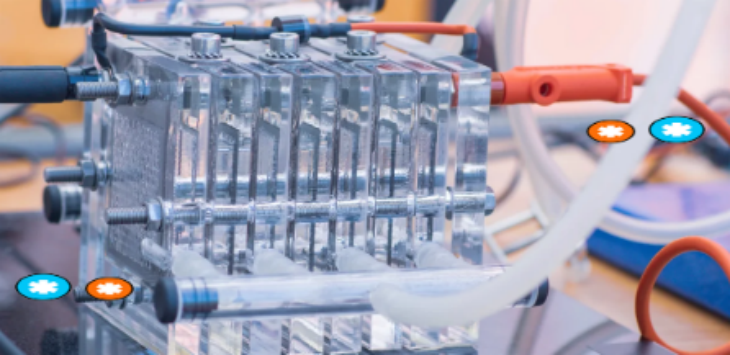 俄罗斯专享会·(中国区)官网