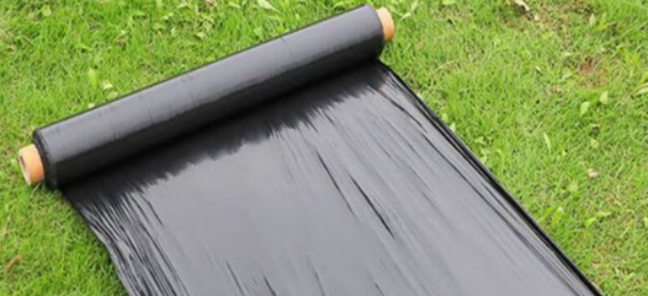 俄罗斯专享会·(中国区)官网