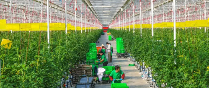 俄罗斯专享会·(中国区)官网