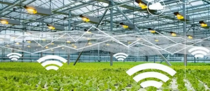 俄罗斯专享会·(中国区)官网