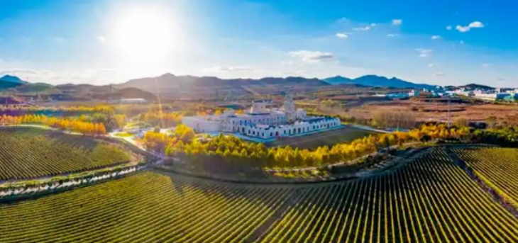 俄罗斯专享会·(中国区)官网