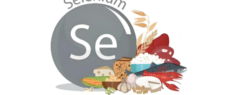 俄罗斯专享会·(中国区)官网