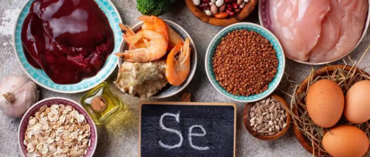 俄罗斯专享会·(中国区)官网