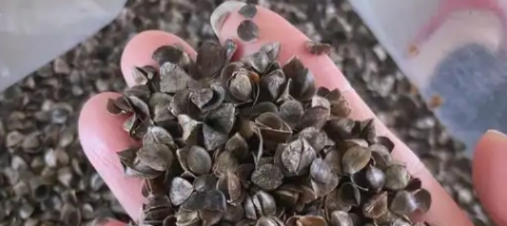 俄罗斯专享会·(中国区)官网