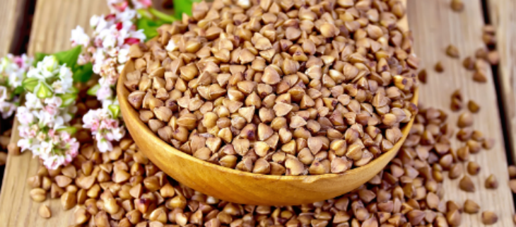 俄罗斯专享会·(中国区)官网