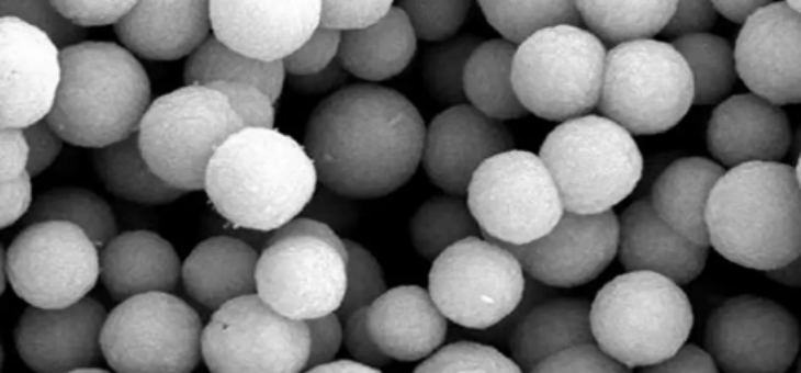 俄罗斯专享会·(中国区)官网