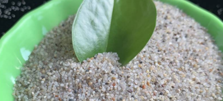 俄罗斯专享会·(中国区)官网