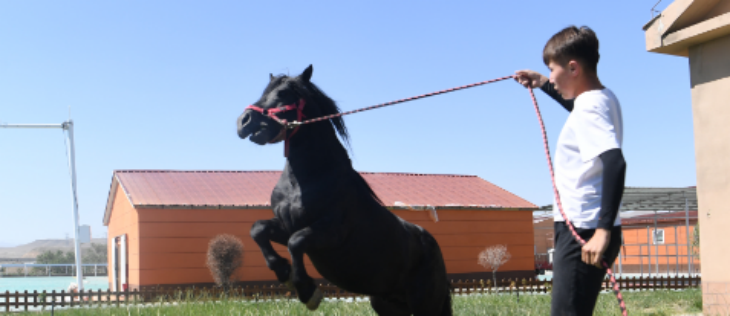 俄罗斯专享会·(中国区)官网