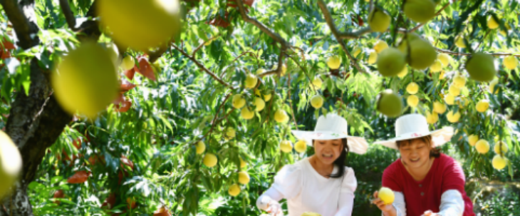 俄罗斯专享会·(中国区)官网