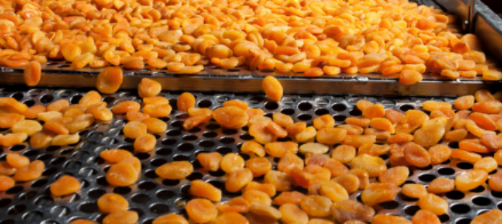 俄罗斯专享会·(中国区)官网