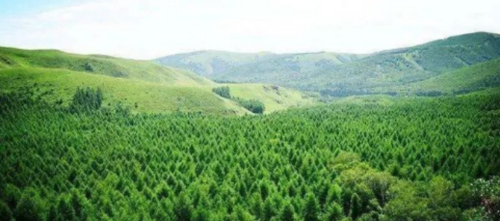 俄罗斯专享会·(中国区)官网