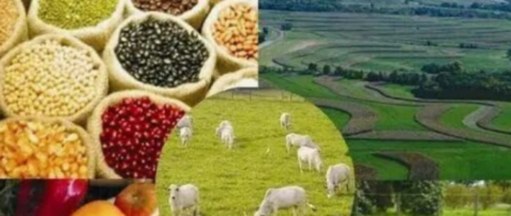 俄罗斯专享会·(中国区)官网