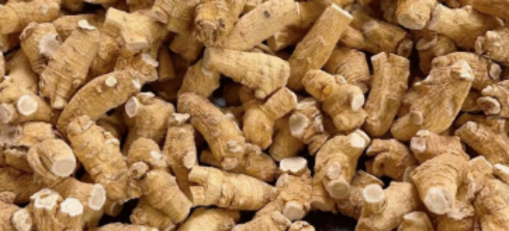 俄罗斯专享会·(中国区)官网