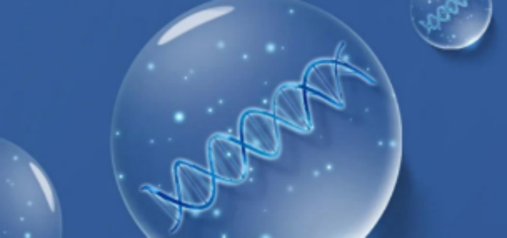 俄罗斯专享会·(中国区)官网